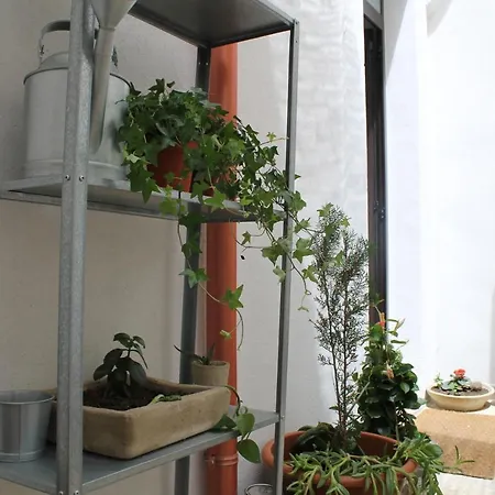 Apartment Noto, Galleryhouse, Centro Storico